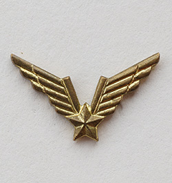 avijacija (авиация)