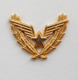 Эмблема действующих военнослужащих RV i PVO JNA