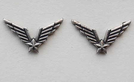 значка рода авијације (авиация)