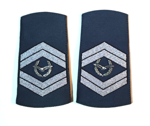 Эмблемы родов войск, служб и специальностей армий Социалистической Федеративной Республики Югославия, Союзной 
	Республики Югославия и Республики Сербия, 1980-2020-е гг.